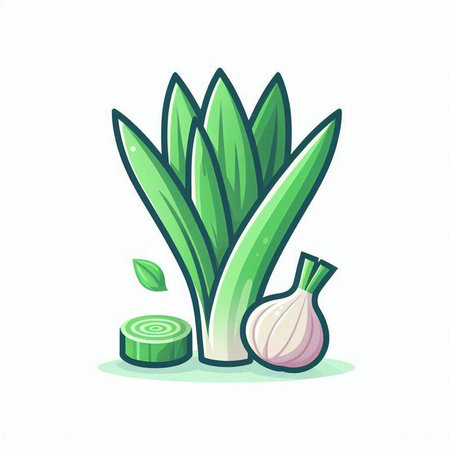 Illustration of fresh green onion and garlic on white background - vectorのイラスト素材