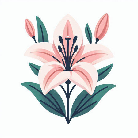 Beautiful pink lily flower isolated on white background. Vector illustration.のイラスト素材