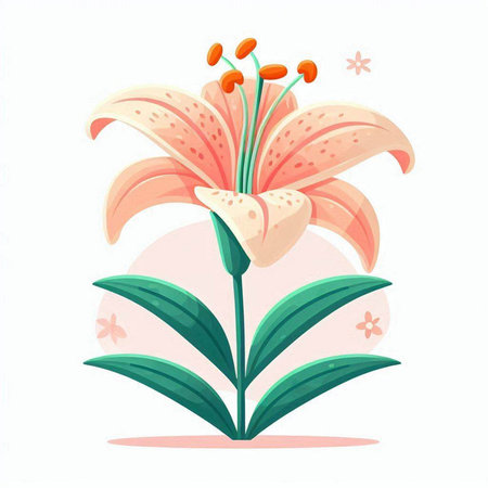 Pink lily flower isolated on white background. Vector illustration in cartoon style.のイラスト素材