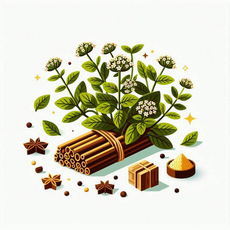 Herbs and spices. Vector illustration of a bunch of mint.のイラスト素材