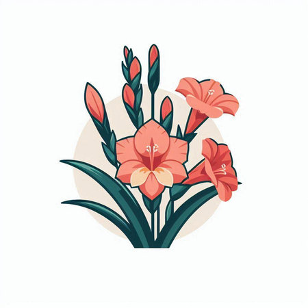 Bouquet of pink gladiolus flowers. Vector illustration.のイラスト素材