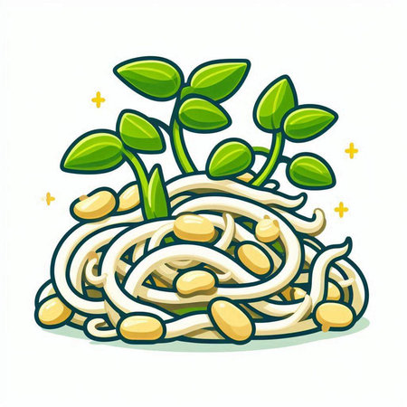 Illustration of soybean sprouts and soybean sprouts.のイラスト素材