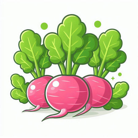 Radish isolated on white background. Vector illustration in cartoon style.のイラスト素材