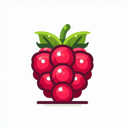 Raspberry fruit icon, isolated on white background. Vector illustration.のイラスト素材