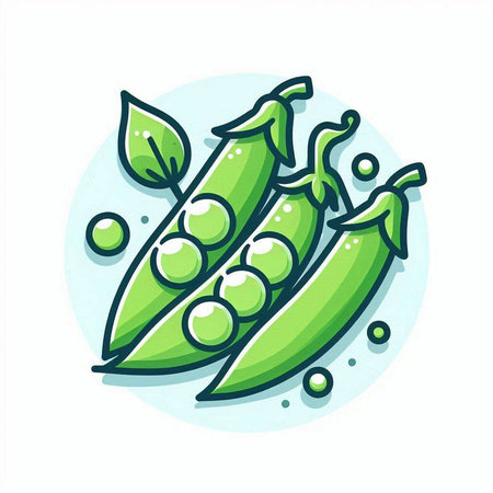 Peas icon. Vector illustration of pea pod isolated on white background.のイラスト素材
