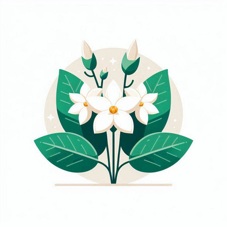 Vector illustration of white flowers with green leaves on white background. Flat style.のイラスト素材