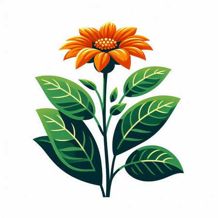 Orange flower with green leaves isolated on white background. Vector illustration.のイラスト素材