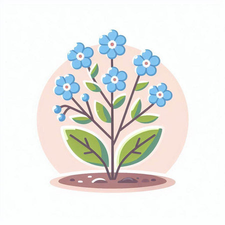 Flowering blue forget-me-not. Vector illustration.のイラスト素材