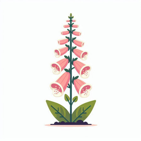 Foxglove, Digitalis purpurea. Flat vector illustration.のイラスト素材