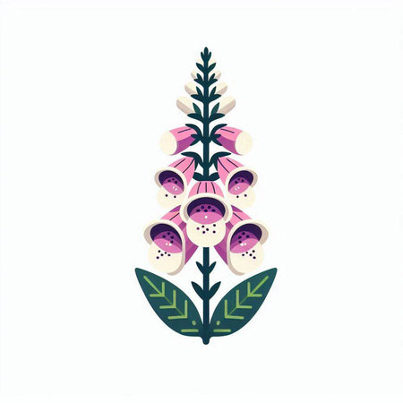 Foxglove flowers. Vector illustration isolated on a white background.のイラスト素材