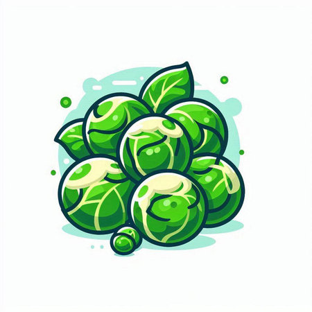 Brussels sprouts icon isolated on white background. Vector illustration.のイラスト素材