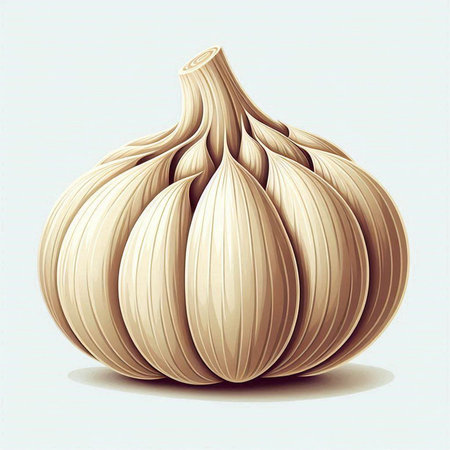 Garlic on a white background. Vector illustration of a garlic.のイラスト素材