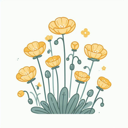 Vector hand drawn illustration of yellow poppies on white background.のイラスト素材
