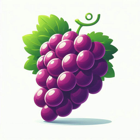 Vector illustration of a bunch of purple grapes with leaves on a white backgroundのイラスト素材