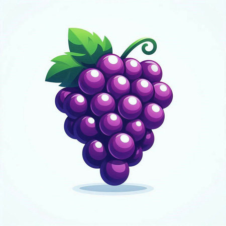 grapes on a white background. vector illustration of grapes.のイラスト素材