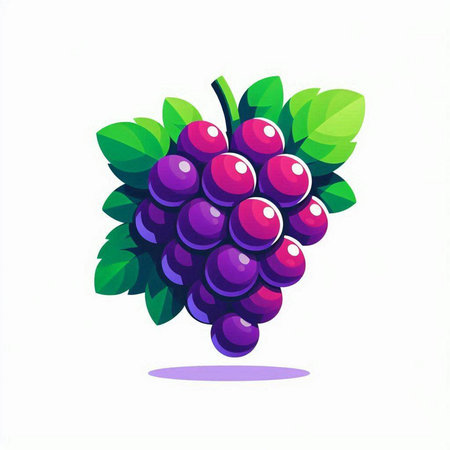 Grapes, vector illustration, isolated on a white background.のイラスト素材