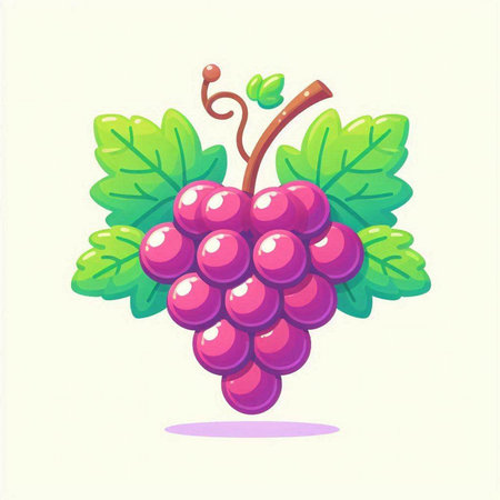 Illustration of a grape with leaves on a white background. Vector illustrationのイラスト素材