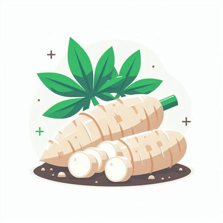 Illustration of yam with leaves on white background, vector illustrationのイラスト素材
