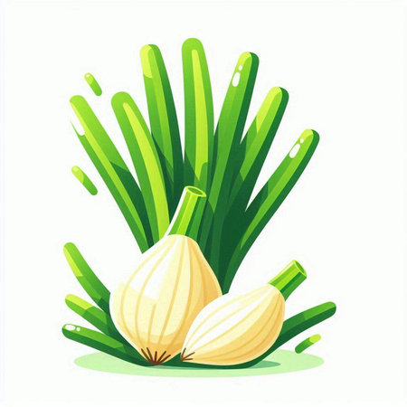 Illustration of green onion on a white background. Vector illustration.のイラスト素材