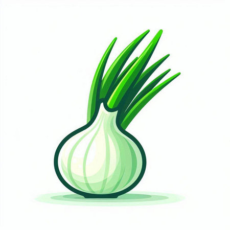 Illustration of a green onion on a white background. Vector illustrationのイラスト素材