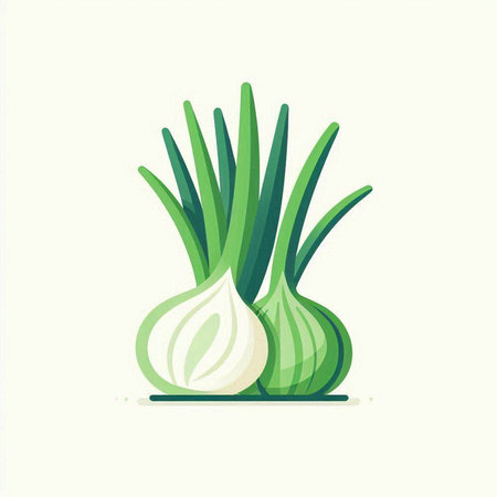 Onion vector illustration. Isolated on white background. Vector illustration.のイラスト素材