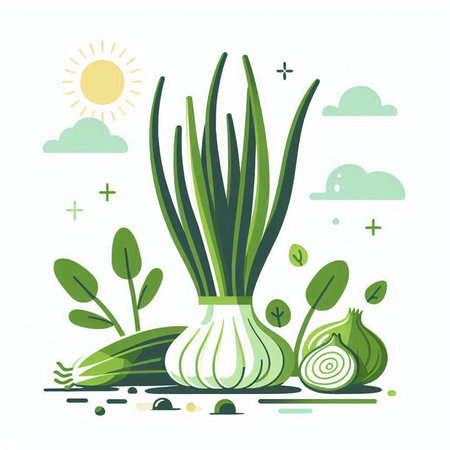 Green onion and garlic in flat style. Vector illustration on white background.のイラスト素材