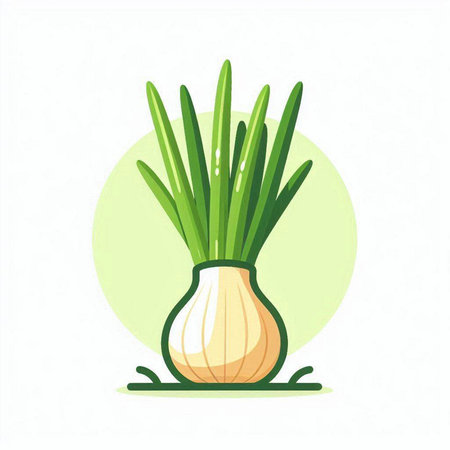 Onion vector illustration. Isolated green onion on white background.のイラスト素材