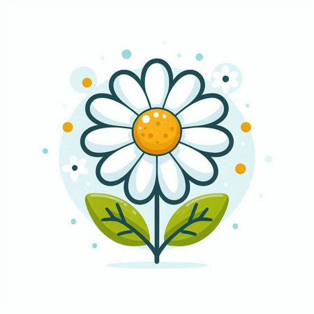 Chamomile flower with leaves on white background. Vector illustration.のイラスト素材