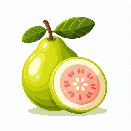 Fresh guava fruit isolated on white background. Cartoon style vector illustration.のイラスト素材