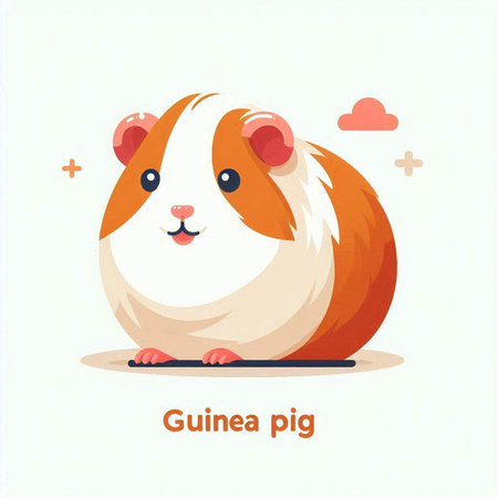 Guinea pig vector illustration. Cute guinea pig cartoon character.のイラスト素材