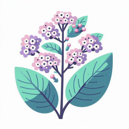 Illustration of a bunch of purple flowers with leaves on a white backgroundのイラスト素材