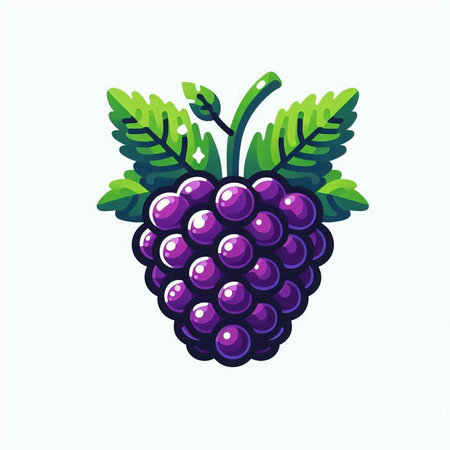 Grapes vector illustration. Vector illustration of a bunch of grapes.のイラスト素材