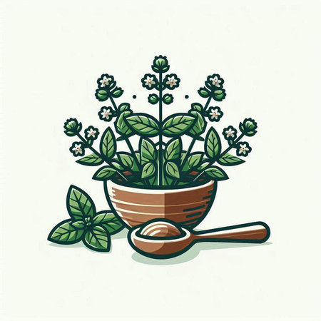 Oregano or oregano plant in a bowl with wooden spoon vector illustration.のイラスト素材