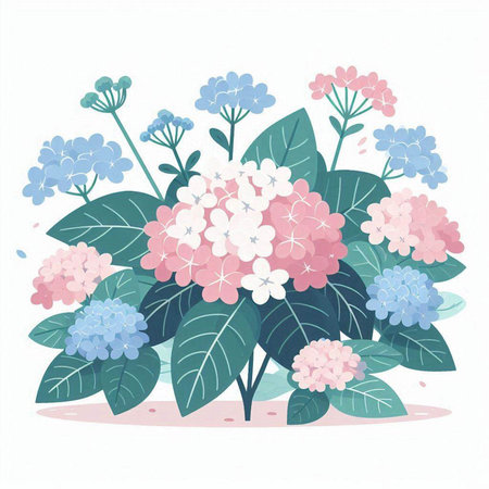 Hydrangea flowers. Vector illustration of hydrangea.のイラスト素材
