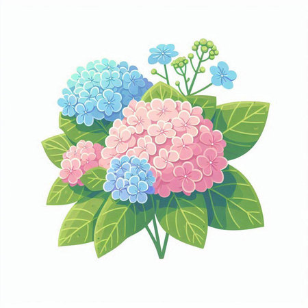 Hydrangea flowers isolated on a white background. Vector illustration.のイラスト素材