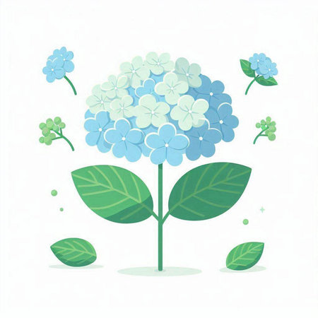 Hydrangea flowers on a white background. Vector illustration. Eps 10.のイラスト素材