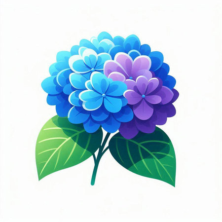 Illustration of blue hydrangea on a white background.のイラスト素材