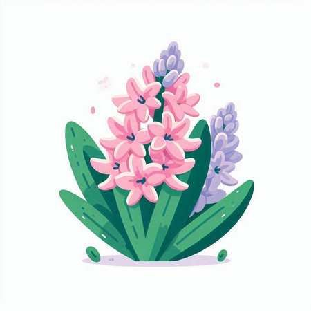 Pink hyacinth flowers. Vector illustration in flat cartoon style.のイラスト素材