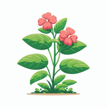 Illustration of a green plant with red flowers on a white backgroundのイラスト素材