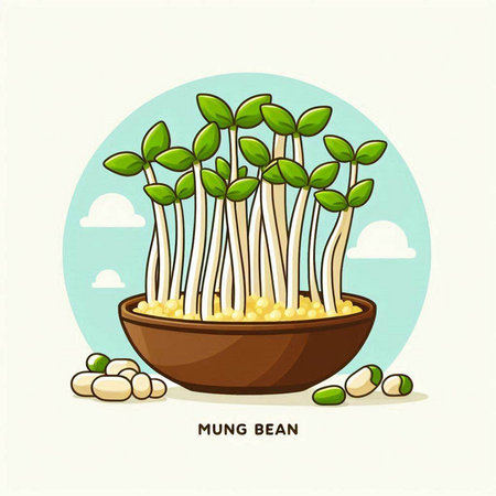 Mung bean sprouts in bowl. Vector illustration for your designのイラスト素材