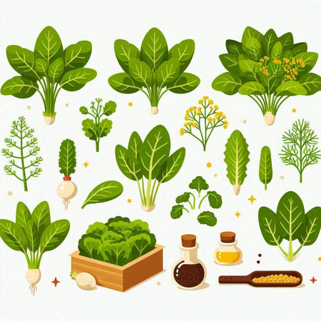 Set of vegetables and herbs in a wooden box. Vector illustration.のイラスト素材