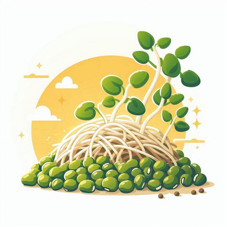 Microgreens sprouts. Sprouting sprouts. Vector illustration.のイラスト素材