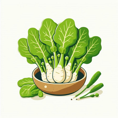Illustration of a bowl with fresh lettuce and radish, vector illustrationのイラスト素材