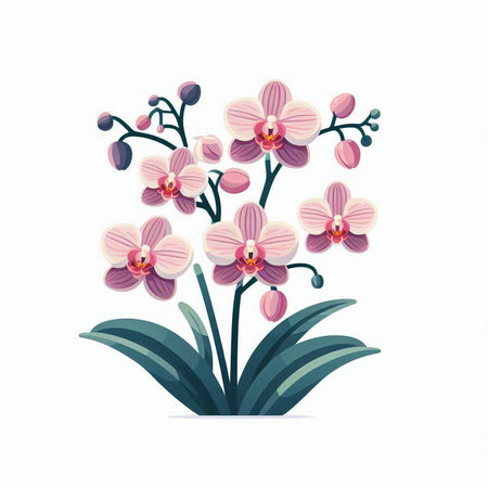 Beautiful pink orchid isolated on white background. Vector illustration.のイラスト素材