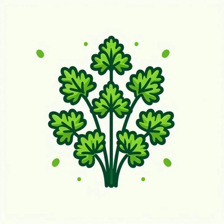 Parsley icon isolated on white background. Vector illustration. Eps 10.のイラスト素材
