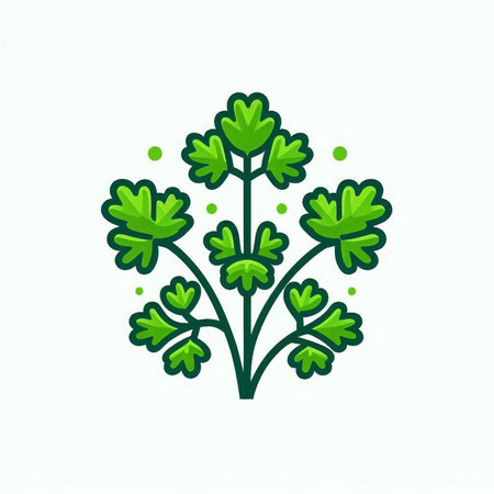 Parsley icon. Vector illustration in flat style. Isolated on white background.のイラスト素材