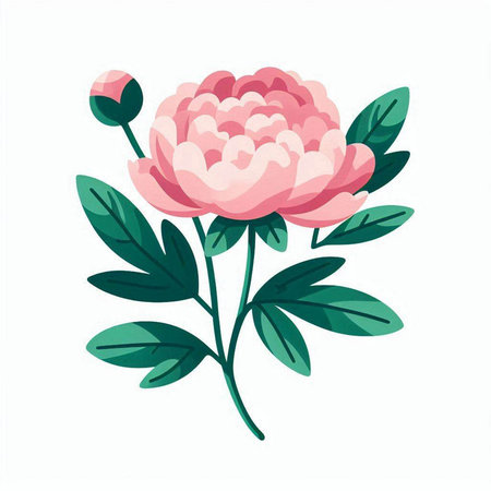 Hand drawn peony flower isolated on white background. Vector illustration.のイラスト素材