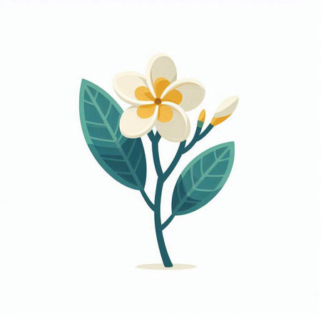 frangipani flower on a white background. vector illustration.のイラスト素材
