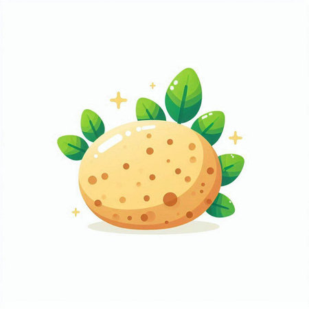 Illustration of round cheese with green leaves on a white background.のイラスト素材