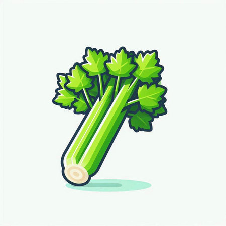 Lime and celery. Vector illustration of a fresh green leek.のイラスト素材